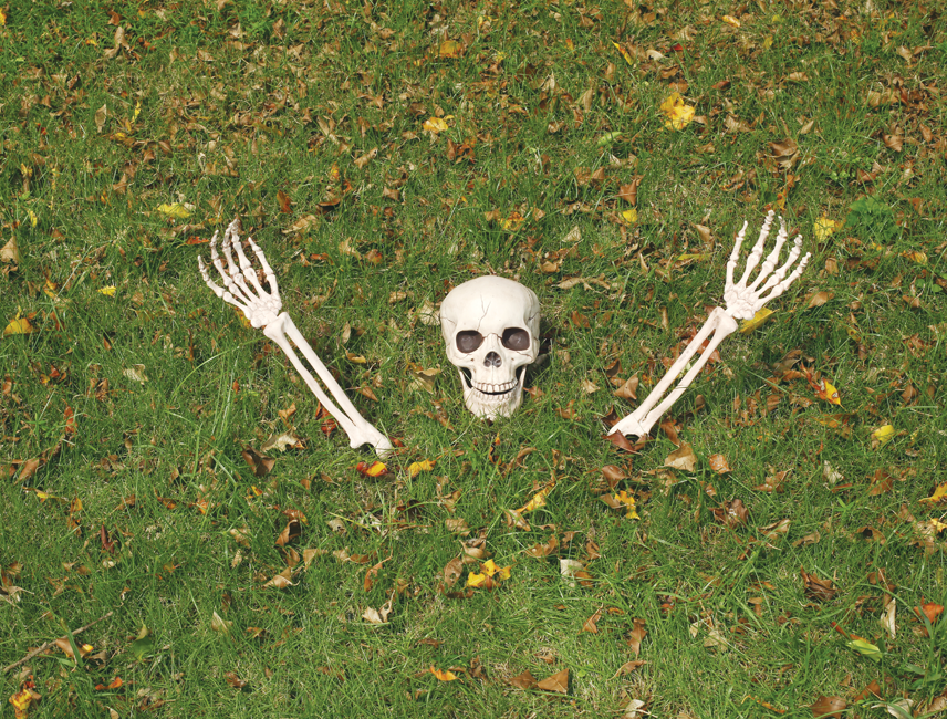 Buried Alive Skeleton Yard Stakes Arms Skull Halloween Prop Decoration NEW